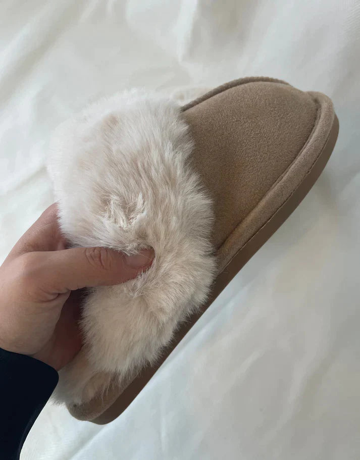 Selvory - Bear Shoes